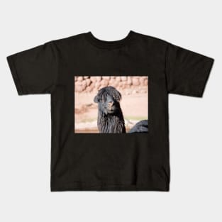 Black and Shaggy Llama Kids T-Shirt